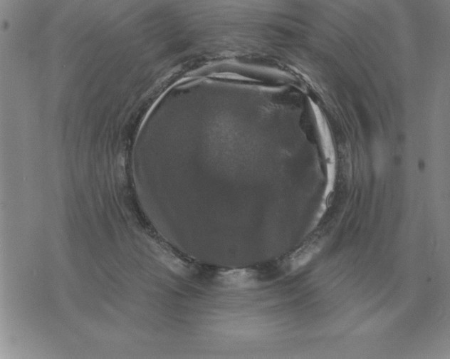 X0000076080269200610152300