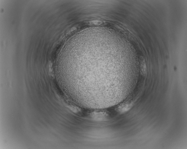 X0000076080270200610152300