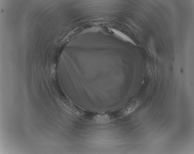 X0000076080271200610152300