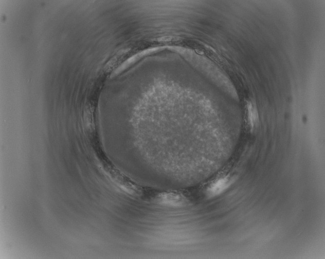 X0000076080272200610152300