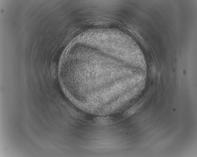 X0000076080273200610152300