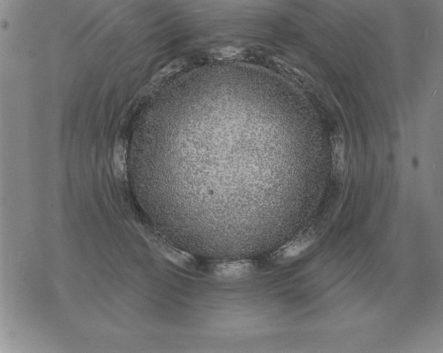 X0000076080274200610152300