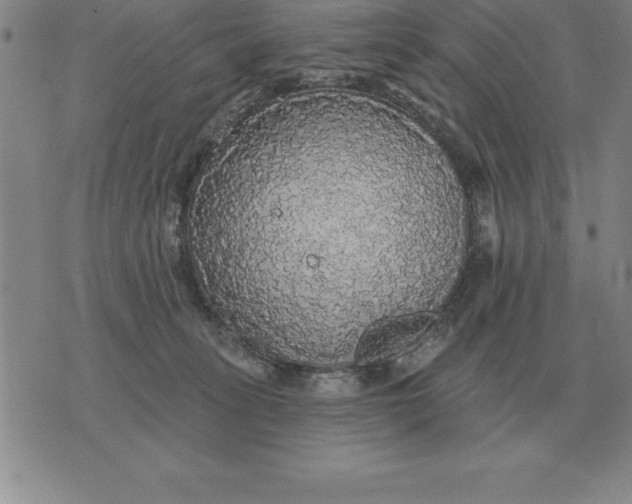 X0000076080275200610152300