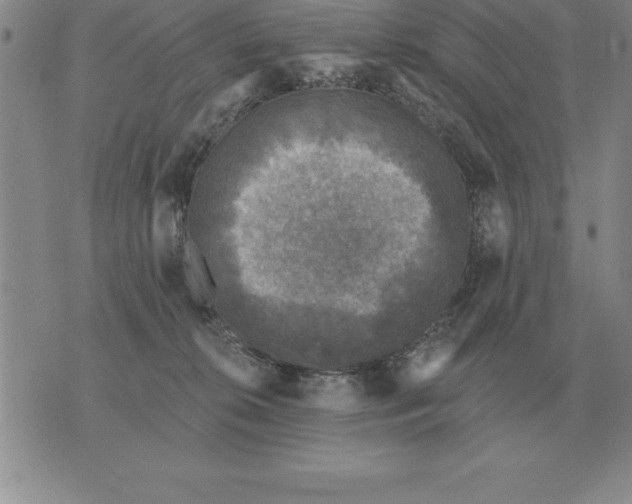 X0000076080276200610152300