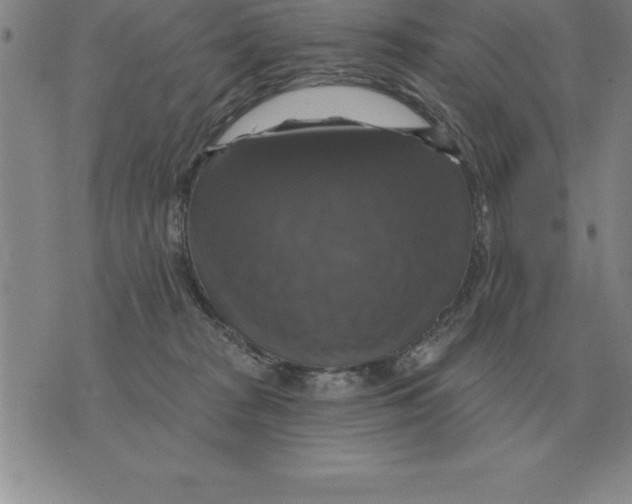 X0000076080277200610152300