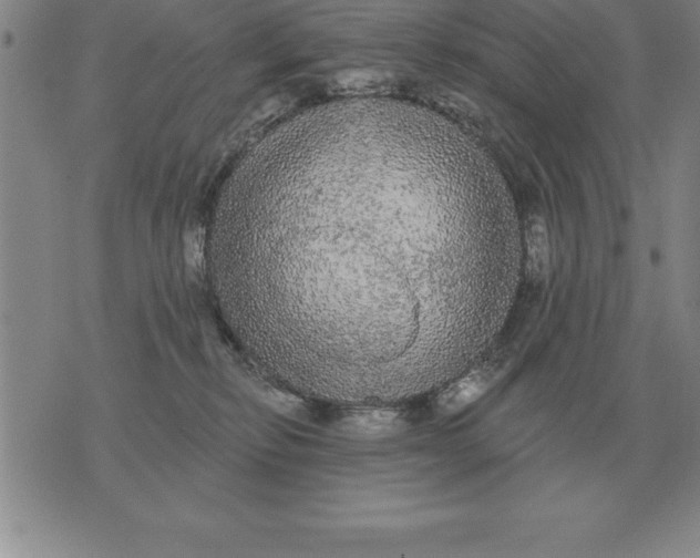 X0000076080278200610152300