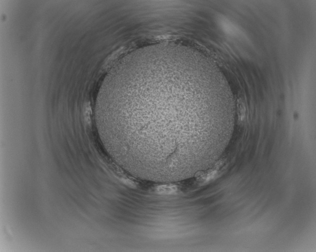 X0000076080279200610152300