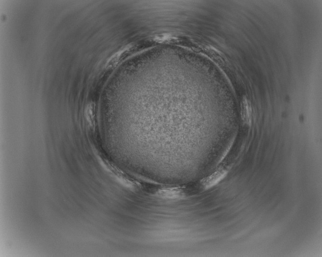 X0000076080280200610152300