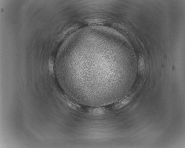 X0000076080282200610152300