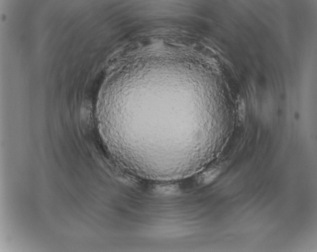 X0000076080283200610152300