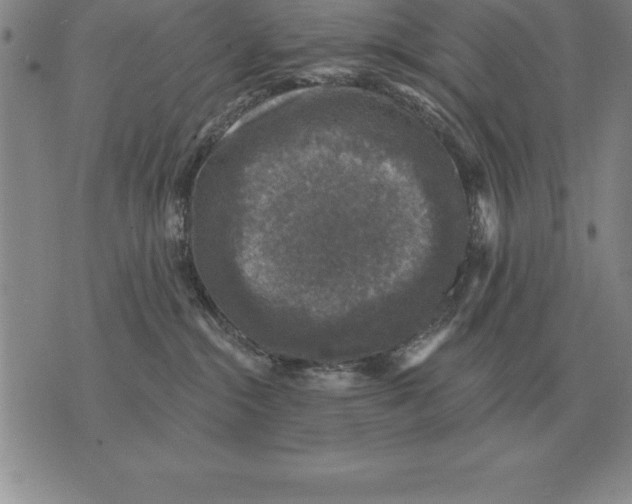 X0000076080284200610152300