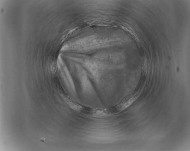 X0000076080285200610152300