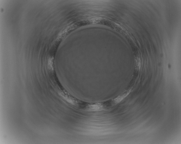 X0000076080286200610152300