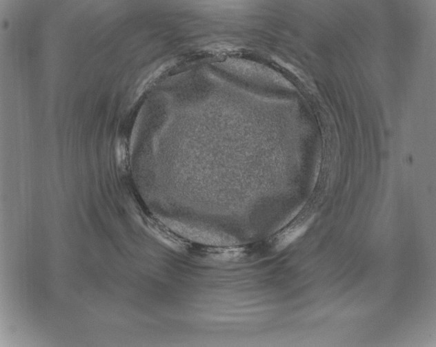 X0000076080288200610152300