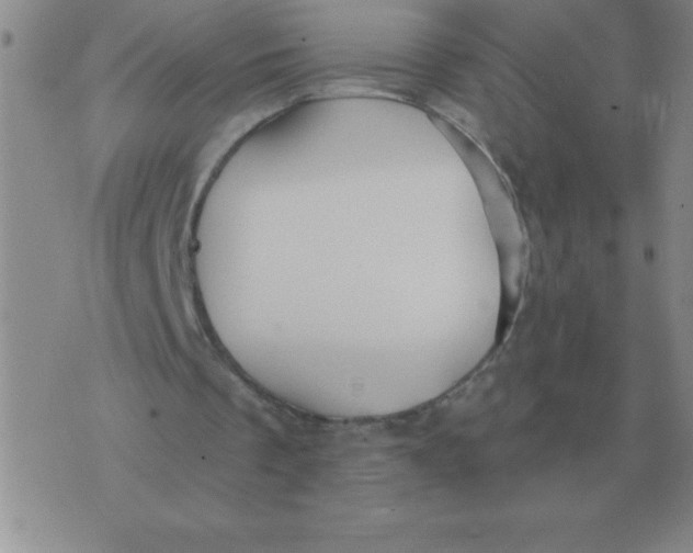 X0000076080289200610152300