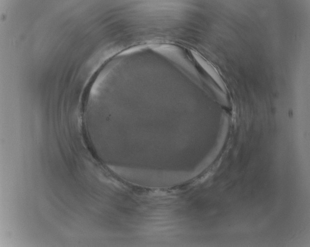 X0000076080290200610152300