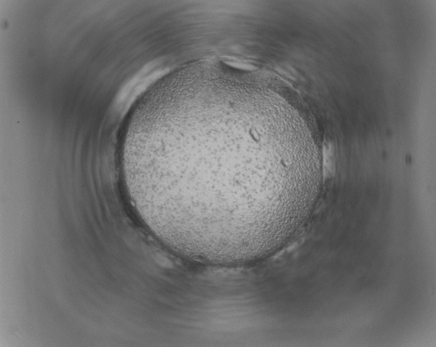 X0000076080291200610152300