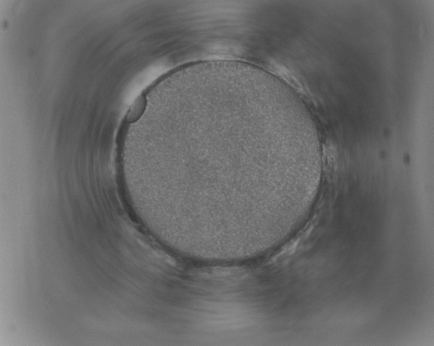 X0000076080292200610152300