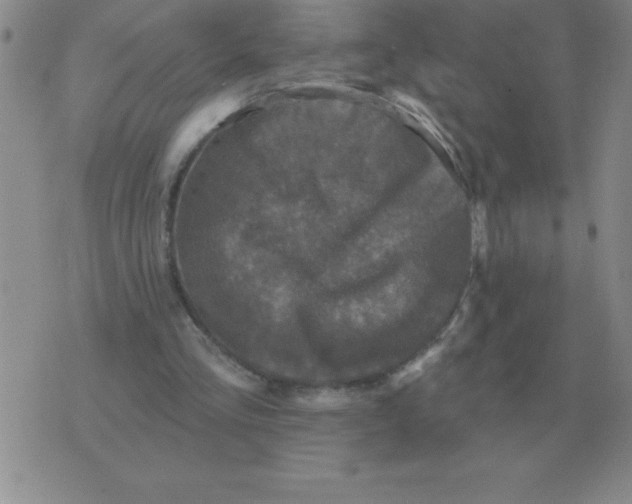 X0000076080293200610152300