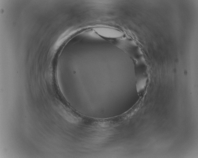 X0000076080295200610152259