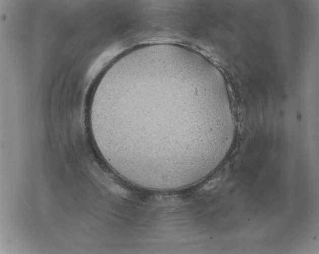 X0000076080296200610152259