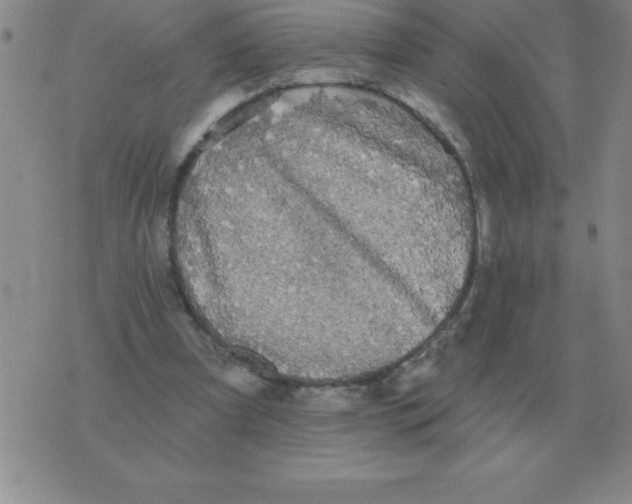 X0000076080297200610152259