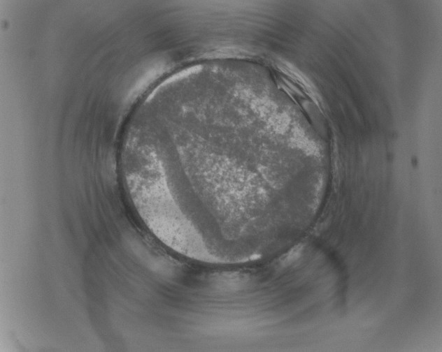 X0000076080298200610152259