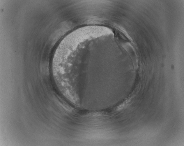 X0000076080299200610152259