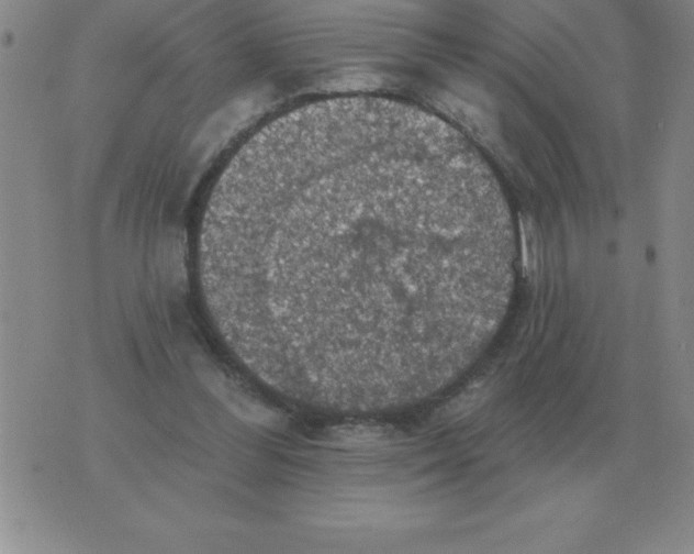 X0000076080300200610152259