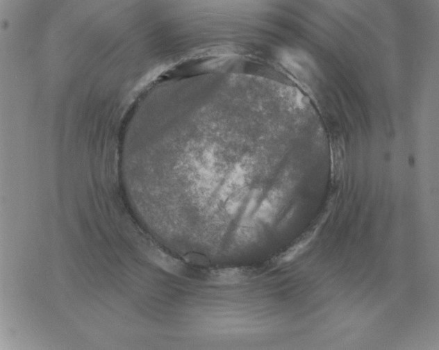 X0000076080301200610152259