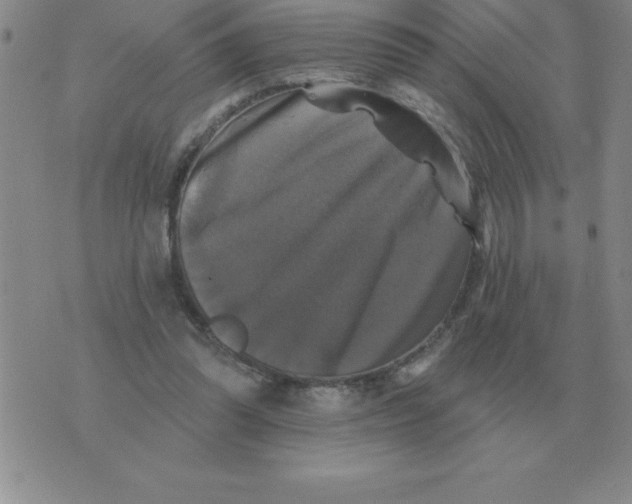 X0000076080302200610152259