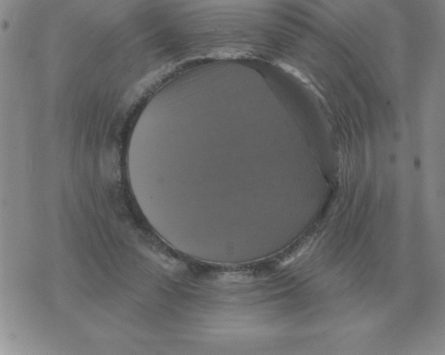 X0000076080303200610152259