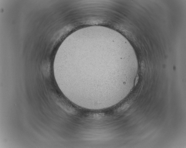 X0000076080304200610152259