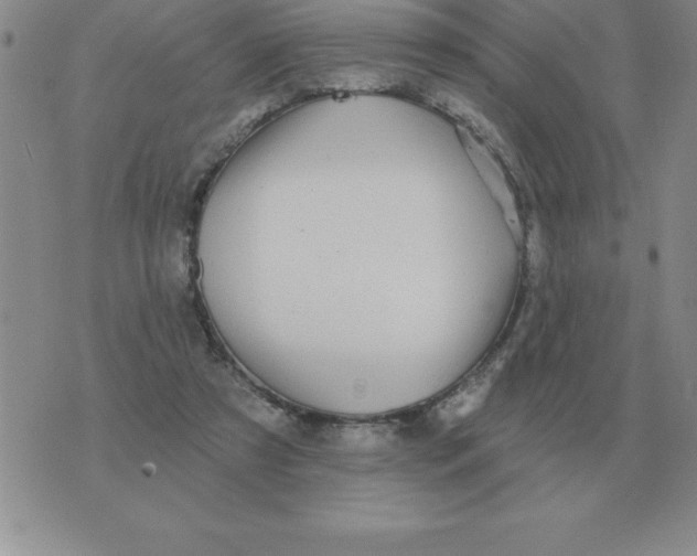 X0000076080305200610152259