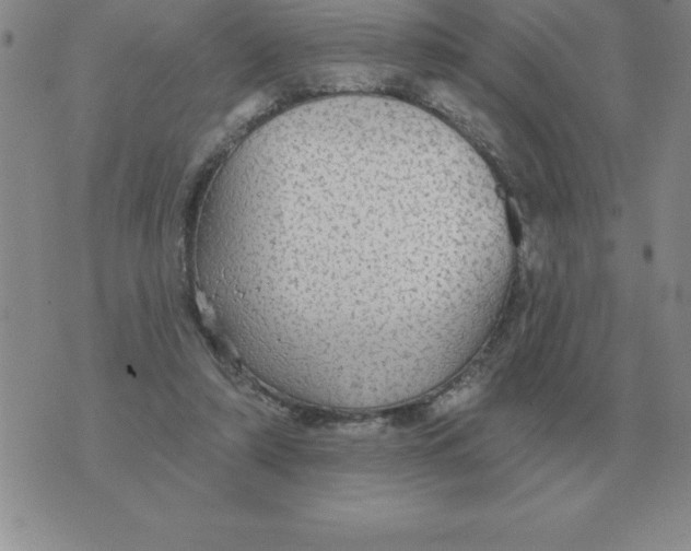 X0000076080306200610152259