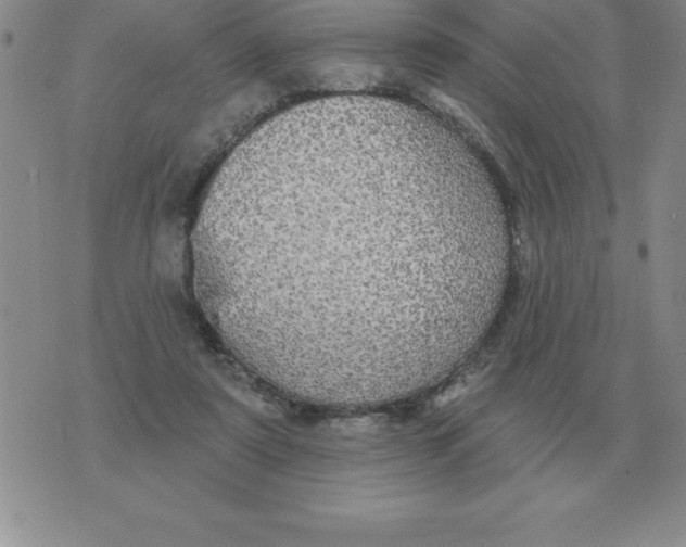 X0000076080307200610152259