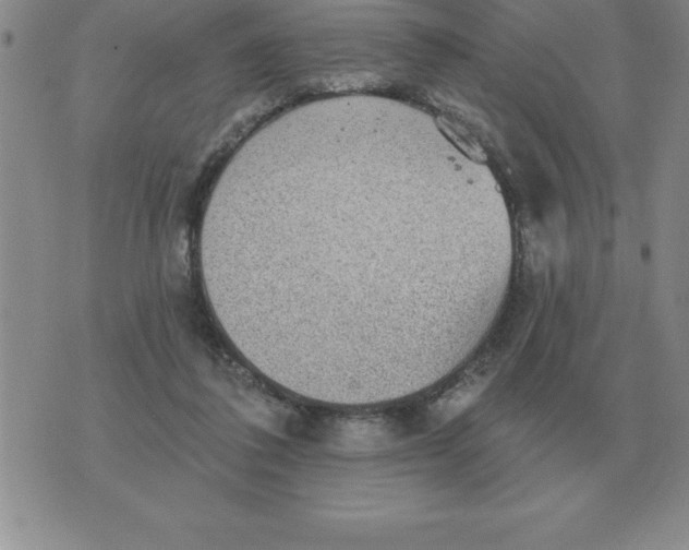 X0000076080308200610152259