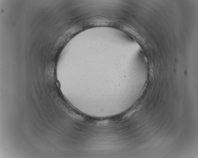 X0000076080309200610152259