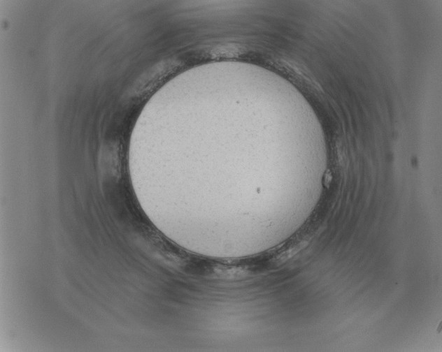 X0000076080311200610152259