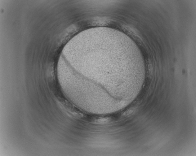 X0000076080312200610152259