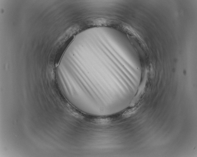 X0000076080313200610152259