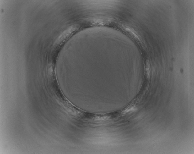 X0000076080314200610152259