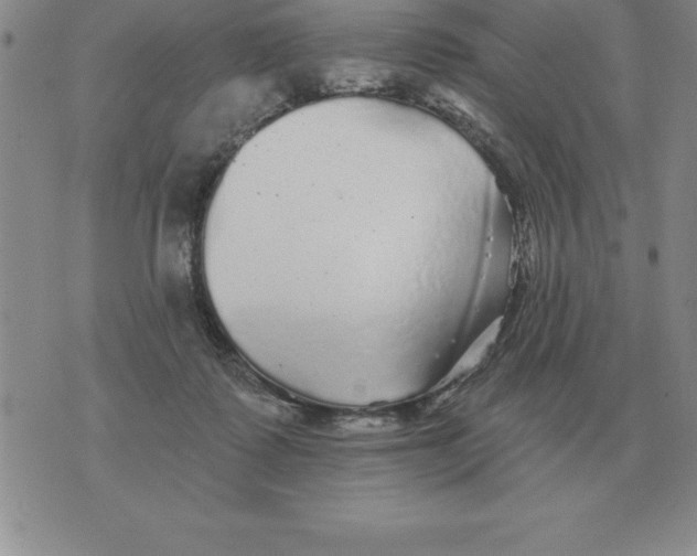 X0000076080315200610152259