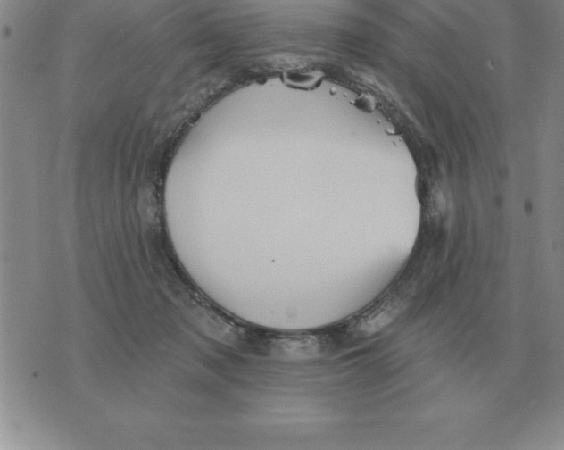 X0000076080317200610152259