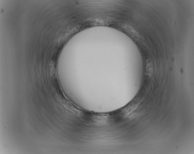 X0000076080318200610152259