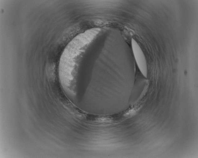 X0000076080319200610152259