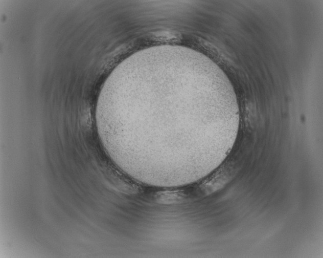 X0000076080320200610152259