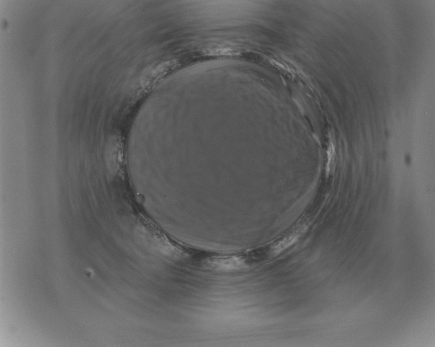 X0000076080322200610152259