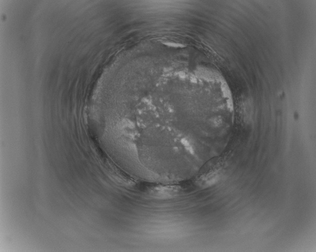 X0000076080323200610152259