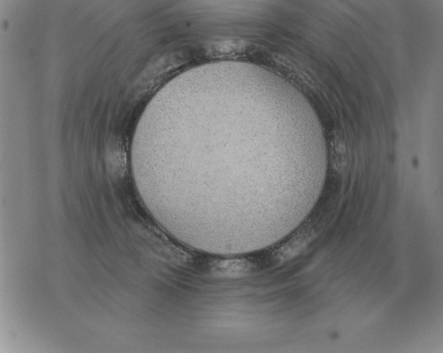 X0000076080324200610152259